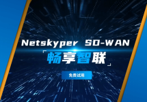 广域网加速技术有哪些？